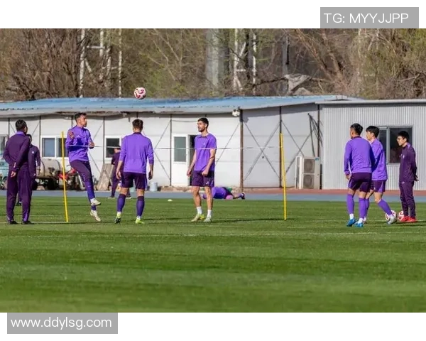 足球明星与粉丝零距离互动揭秘 粉丝心声与球场背后的故事